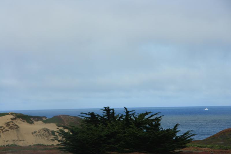 IMG_2920.JPG