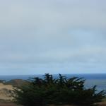 IMG_2920.JPG