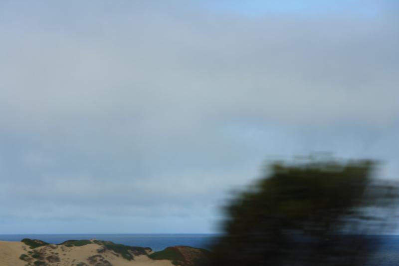 IMG_2921.JPG
