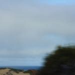 IMG_2921.JPG