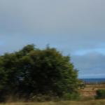IMG_2925.JPG