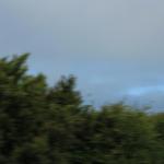 IMG_2926.JPG