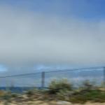 IMG_2929.JPG