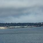 IMG_2933.JPG