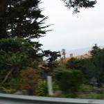 IMG_2959.JPG