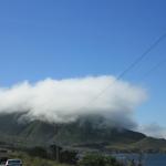 IMG_2961.JPG