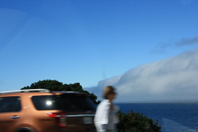 IMG_2966.JPG