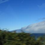 IMG_2967.JPG