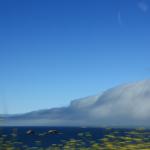 IMG_2969.JPG