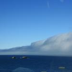 IMG_2970.JPG