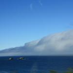 IMG_2971.JPG