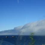 IMG_2972.JPG