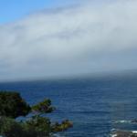 IMG_2976.JPG