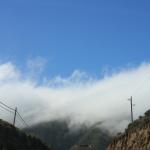 IMG_2978.JPG