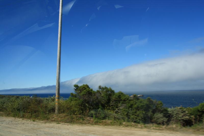 IMG_2982.JPG