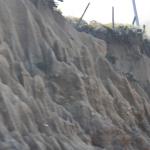 IMG_2987.JPG
