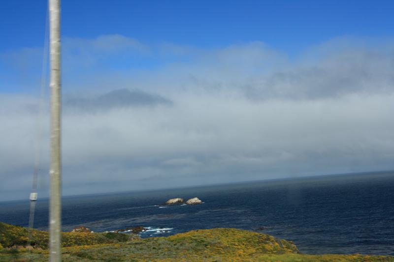 IMG_2990.JPG