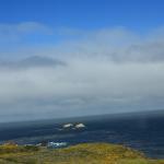 IMG_2990.JPG