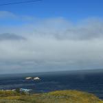 IMG_2991.JPG