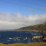 IMG_2992.JPG