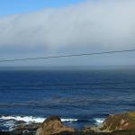 IMG_2996.JPG