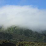 IMG_3002.JPG