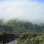 IMG_3003.JPG