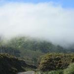 IMG_3004.JPG