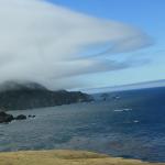 IMG_3005.JPG