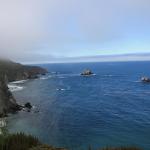 IMG_3010.JPG