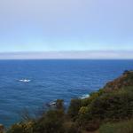 IMG_3012.JPG