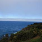 IMG_3013.JPG