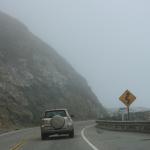 IMG_3025.JPG