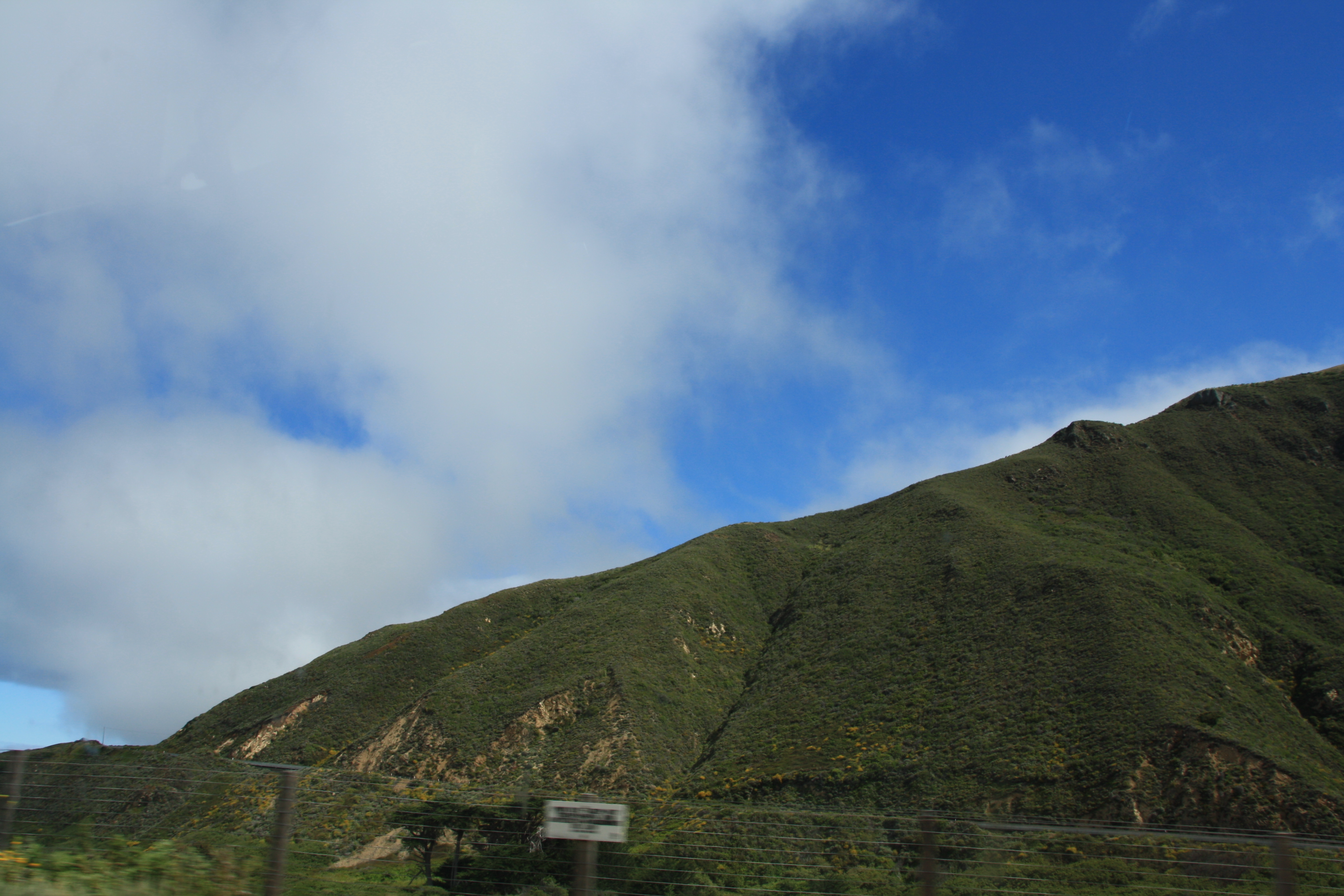 IMG_3045.JPG