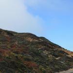 IMG_3051.JPG