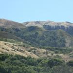 IMG_3060.JPG