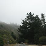 IMG_3069.JPG