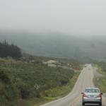 IMG_3090.JPG