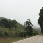 IMG_3091.JPG