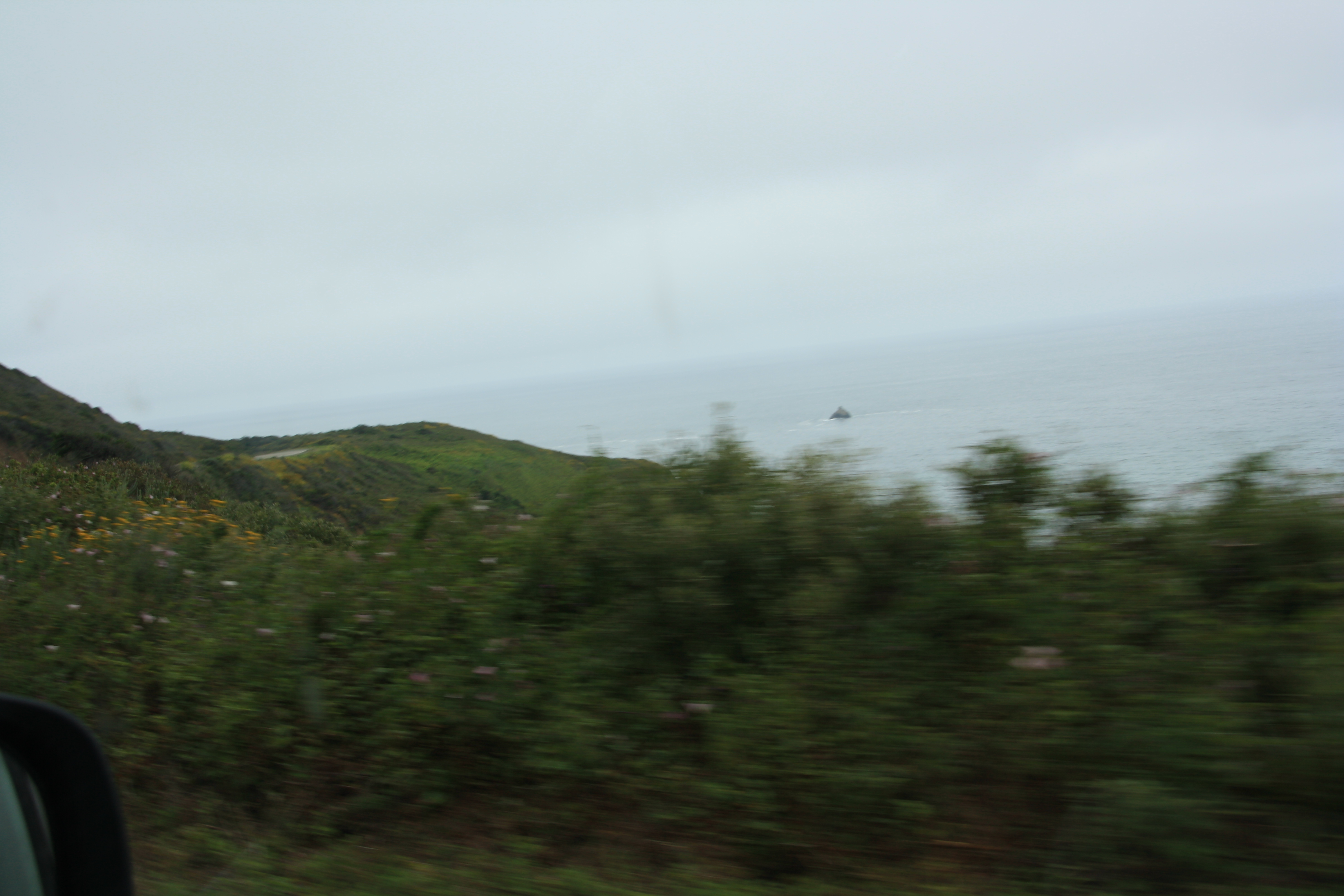 IMG_3094.JPG