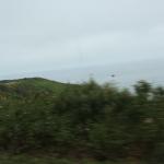 IMG_3094.JPG