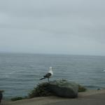 IMG_3100.JPG