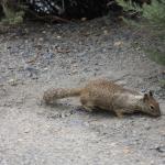 IMG_3104.JPG