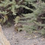 IMG_3106.JPG