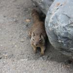 IMG_3111.JPG
