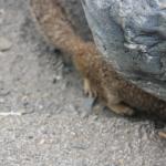 IMG_3112.JPG