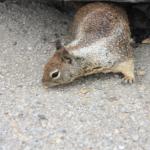 IMG_3113.JPG