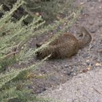 IMG_3119.JPG