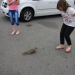 IMG_3125.JPG