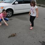 IMG_3126.JPG